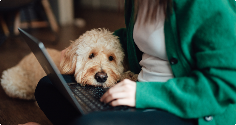 A dog lies on their owner’s lap as the owner sits with a laptop